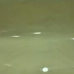 b8c1c6c9-79bd-4702-997b-ab040d1bf4a2-20261001_120804.jpg